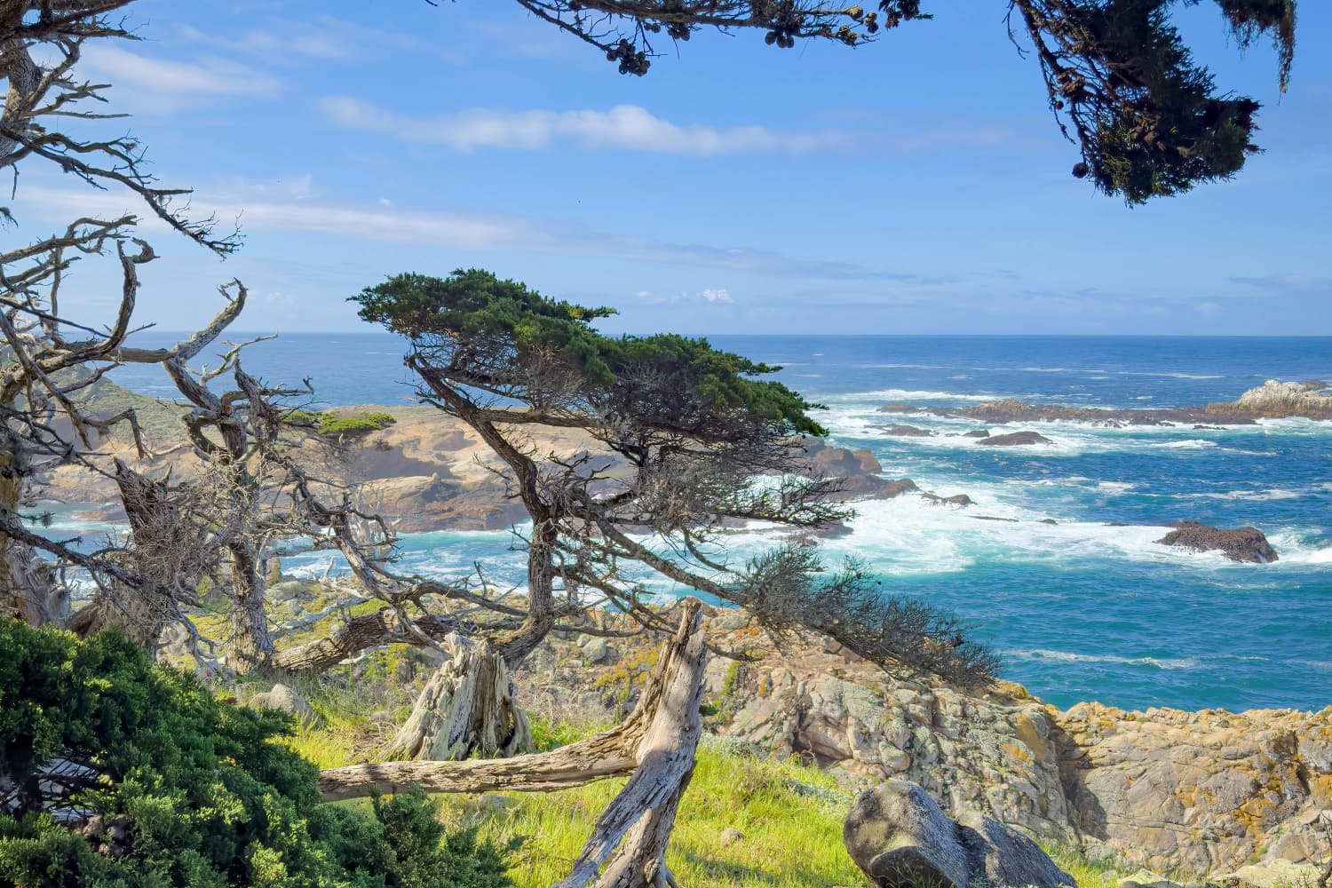 Monterey & Santa Cruz